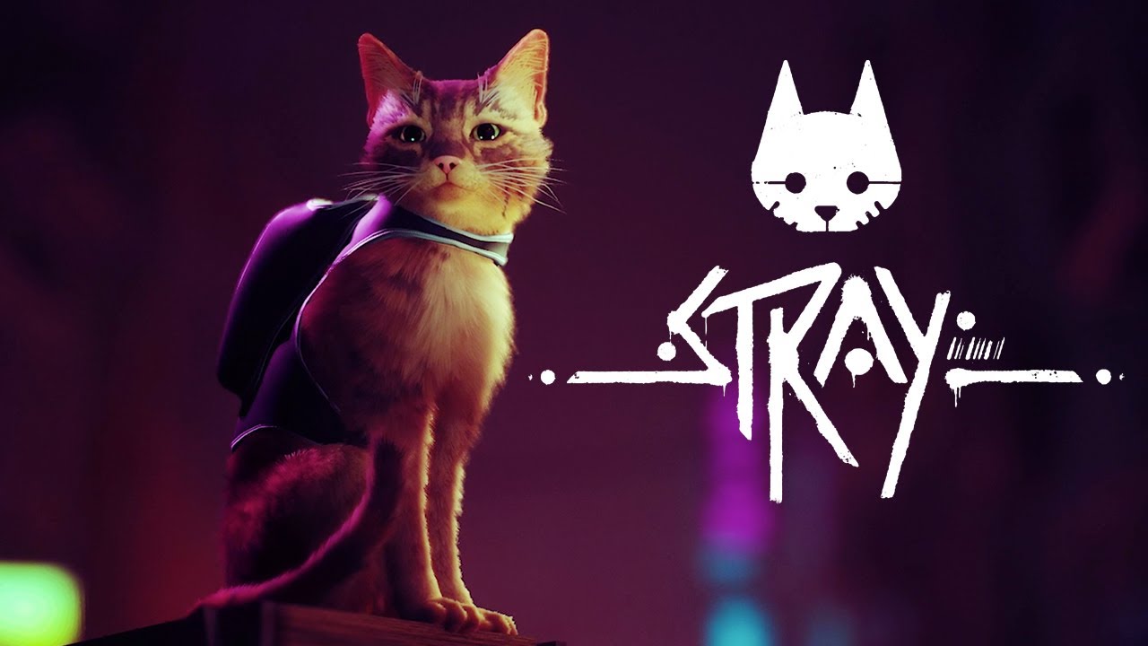 Stray: El próximo videojuego cuyo protagonista es un simpático gato #ZEGeek